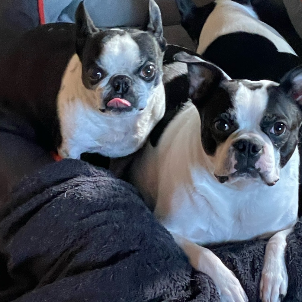 Meet your Posher, Colleen